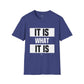 IT IS WHAT IT IS - Main Unisex T-Shirt