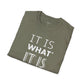 IT IS WHAT IT IS Unisex T-Shirt